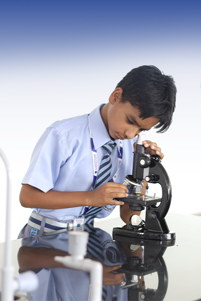 Skill Based Curriculum - Sarvottam International School Sector 10